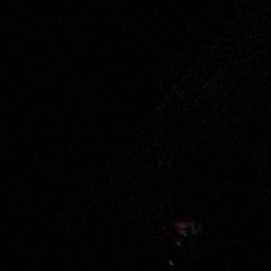 Meet your Posher, Ben